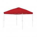 Ozark Trail 10' x 10' Simple Push Straight Leg Canopy (100 Sq. ft.)